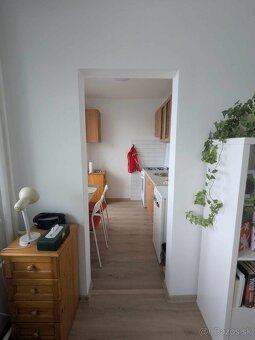 Prenájom - 1 izbový byt na Donnerovej ulici - mestská časť - 6