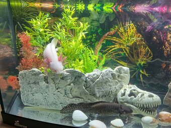 Predám 120L akvárium – komplet výbava - 6