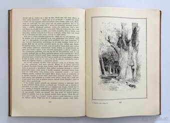 Dostojevskij, Tolstoj, Čechov, Puškin, Hemingway, Remarque… - 6