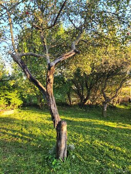 Predám záhradku Zvolen - 6