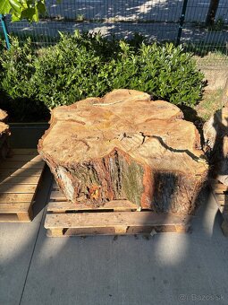 Drevené koláče - 6