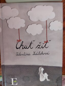 Knihy pre -násťročných - 6