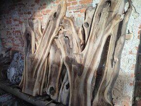 Orechové drevo, rezivo - 6