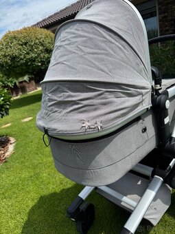 Kocik Joolz day 2 - 6