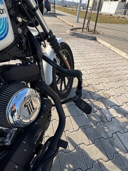 Harley Davidson Sportster 1200 - 6