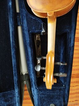 Viola - 6