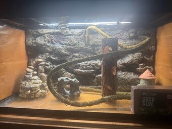 Terarium, sklo, akvárium - 6