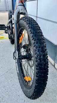 Scott Roxter 20” - 6