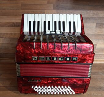 Akordeon, harmonika, heligonka - 6