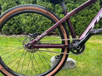CTM Dirtking Xpert 2022 - 6