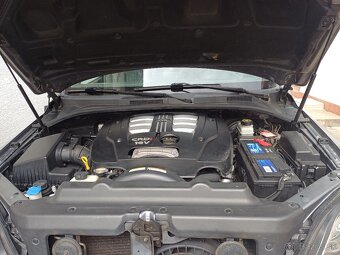 Sorento - 6