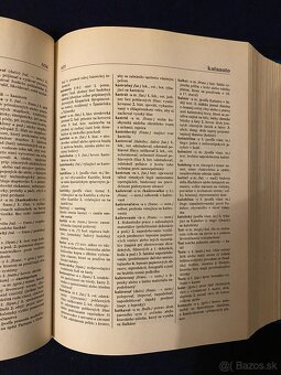 Podrobné slovníky - 6