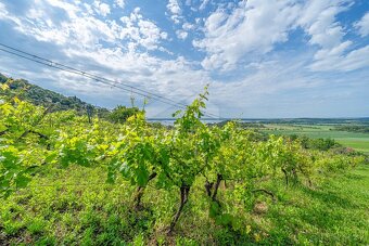 Vinica, dobrý prístup a pekné výhľady - 6