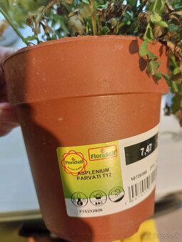 Darujem za odvoz - 6