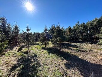 Na predaj | Stavebný pozemok 1398 m² - Topoľnica - 6