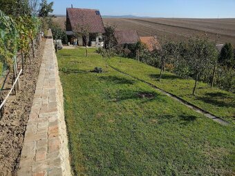 PREDÁM ZÁHRADKU S CHATOU V HOLÍČI. - 6