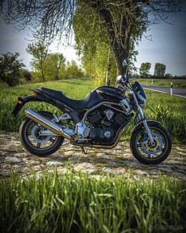 Yamaha BT 1100 Bulldog - 6