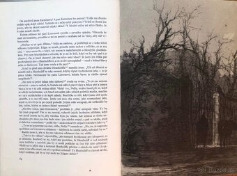 DOSTOJEVSKIJ, ČECHOV, TOLSTOJ, EXUPÉRY, LONDON… - 6