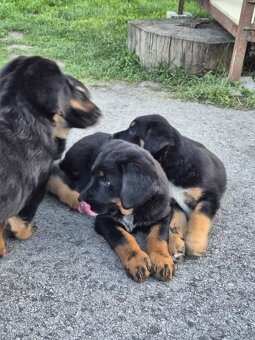 Steniatka na predaj - 6