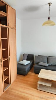 Prenajmem 1 izbový byt - 6