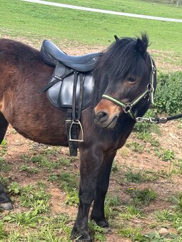 Pony sedlo - 6