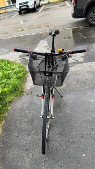 Bicykel DEMA veľkosť 19,5 - 6