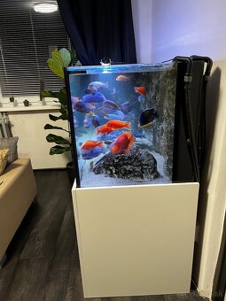 Predám Akvárium 680 L - 6