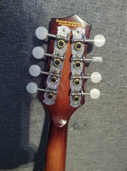 A-typ mandolína- celomasív - 6