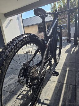Scott - 6