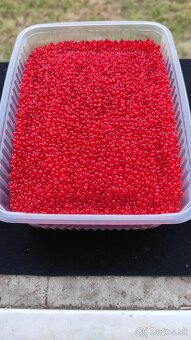 české korále více barev viz fota 1 kg 5 e - 6