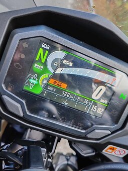 Kawasaki Ninja 1000 SX Performance - 6