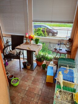 Veľký rodinný dom - Košice - Staré mesto - 6