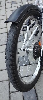 Bicykel Dema 20 - 6