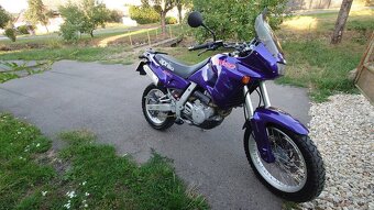 Aprilia Pegaso 650 - 6