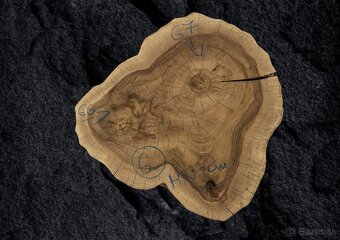 Predám orechové priečne rezy - 6