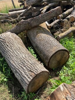 Dubovy pen=stol do exteriu - 6