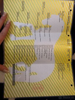 Frizsky valach s PP - 6