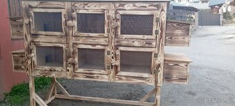 Zajačnik kralikaren - 6