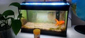 Aquarium 2x s príslušenstvom - 6