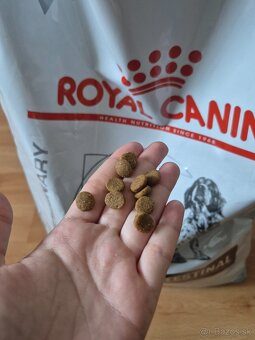 Royal Canin Gastrointestinal granule 6,5 kg - 6