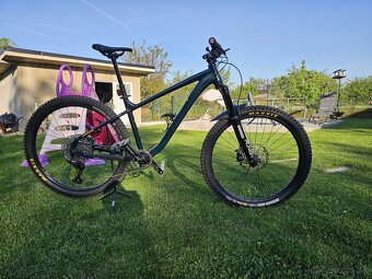 Predam hardtail - 6