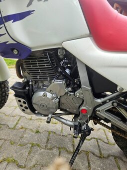 Honda dominator - 6