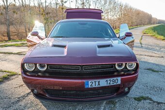 DODGE CHALLENGER 3,6 V6 2021/6 71600km - 6