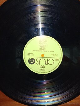 Platne - 6