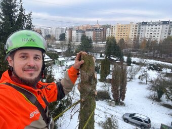 Výrub stromov a rizikové pílenie - 6