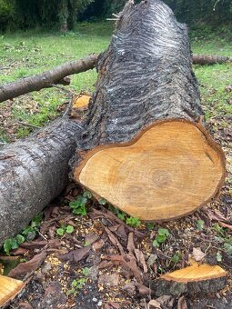 Čerešňove drevo - 6