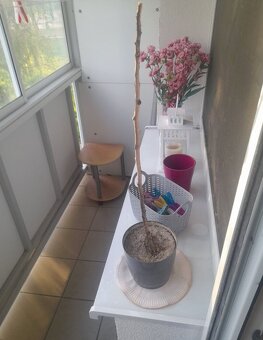 Garsónka na prenájom, Rybničná ulica - 6