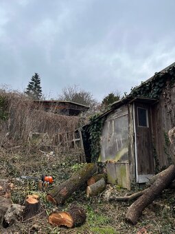 Výrub stromov, Rizikový orez, Starostlivosť o zeleň - 6