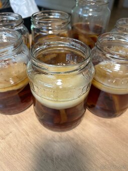 Kombucha – zdravá živá kultúra - 6