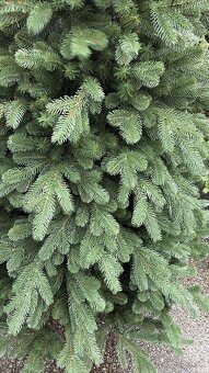 NOVÉ VIANOČNÉ FULL 3D STROMČEKY - 6